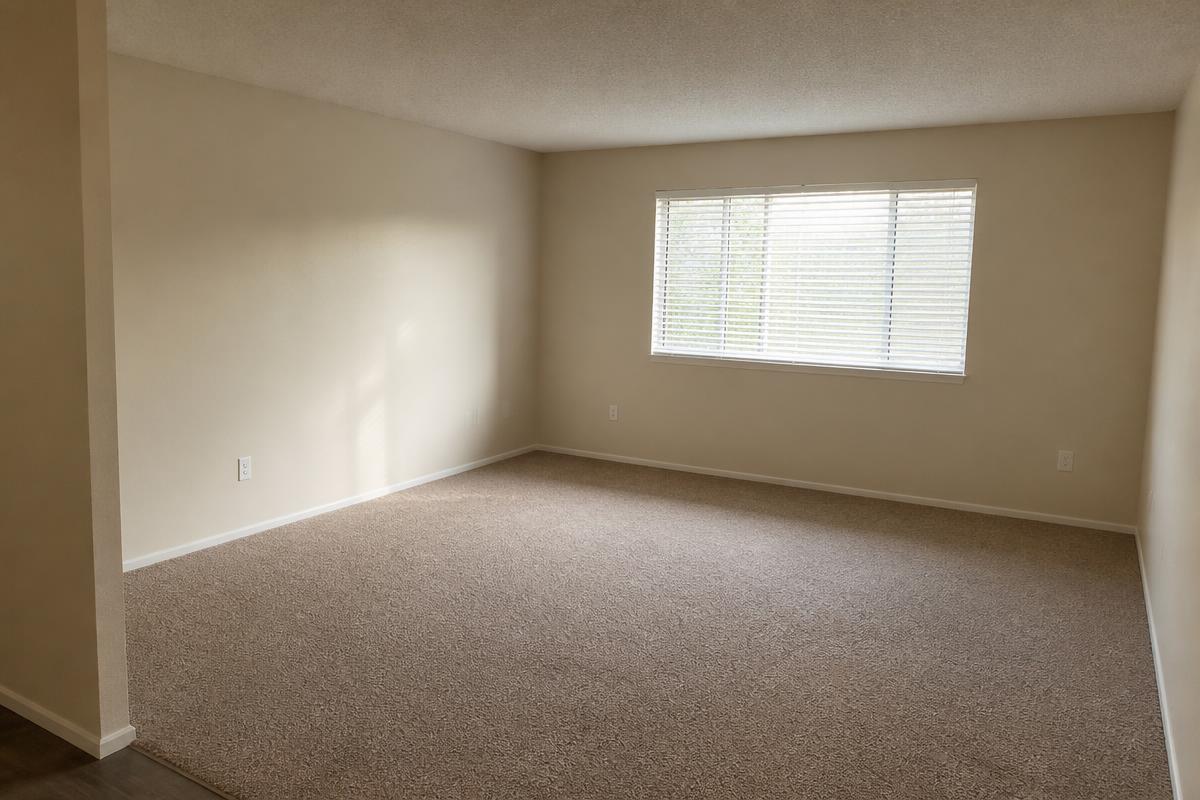 Same rental living room emptied and vacuumed after junk removal in Boiling Springs, NC