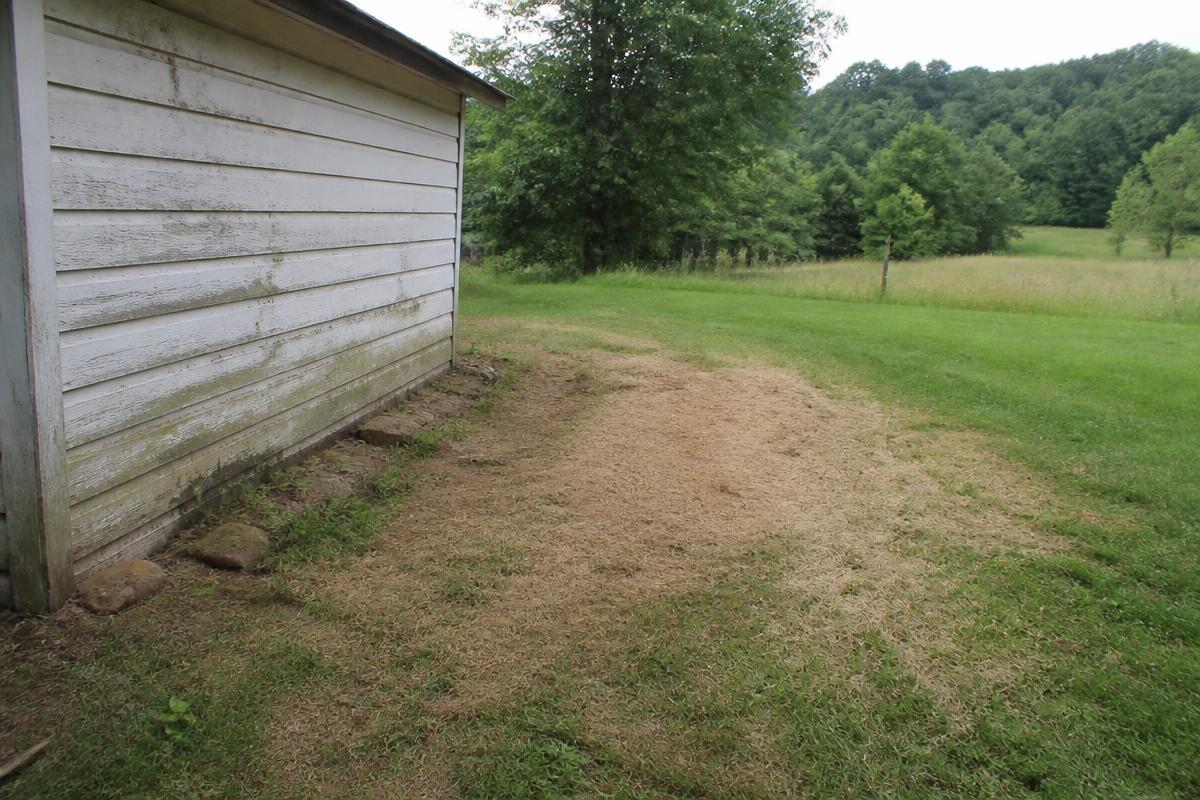 Clear grass beside the farmhouse after appliance removal in Lawndale, NC